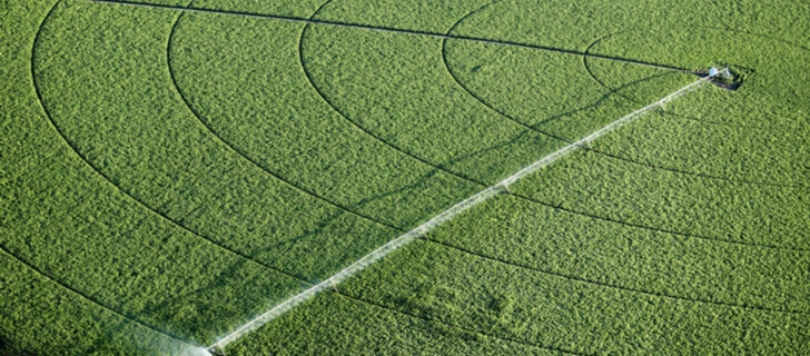agricultural sprinkler in the field