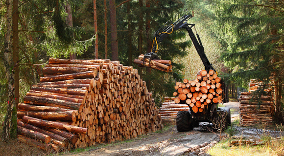 the process of timber harvesting with machinery