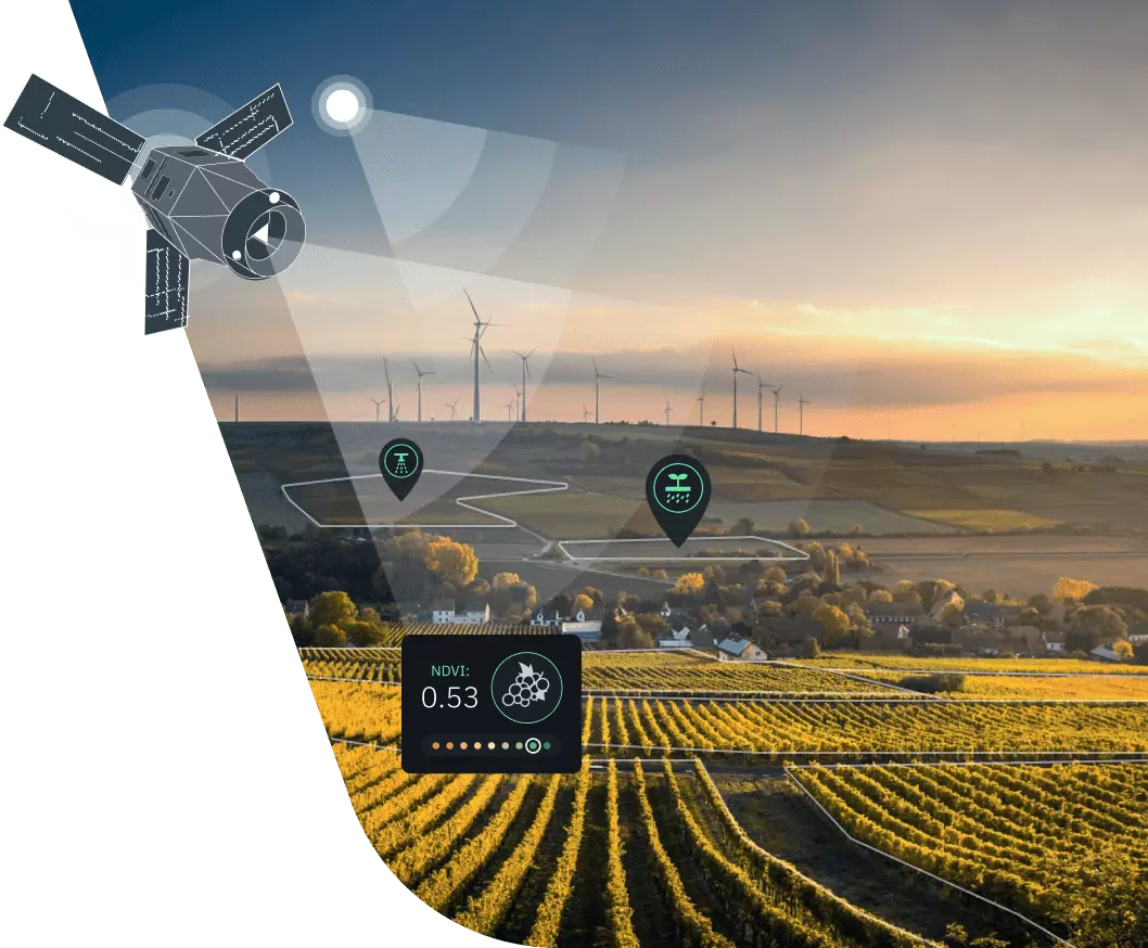 champ surveillé par satellite pour les coopératives agricoles