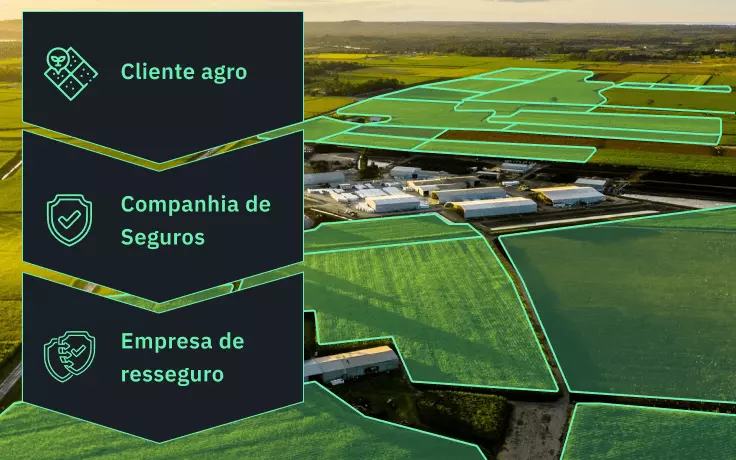 vários campos em uma região
