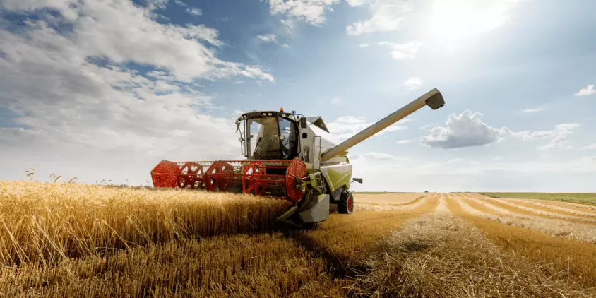 cosecha de cultivos con maquinaria agrícola