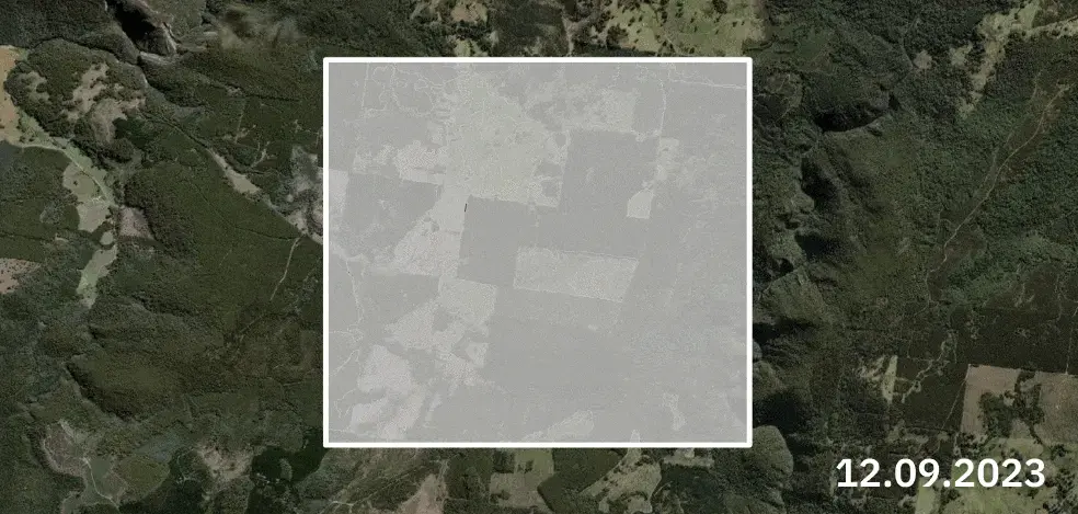 моніторинг знеліснення в EOSDA Forest Monitoring