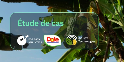Dole Asia Et Agright Technologies Au Secteur Agricole