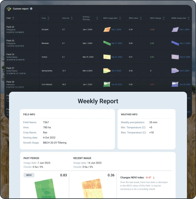 automative report set up